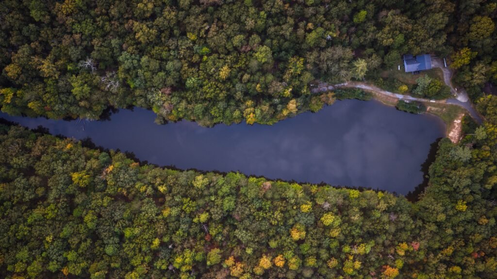 Riverside Property Near the Black Warrior River, Moundville AL