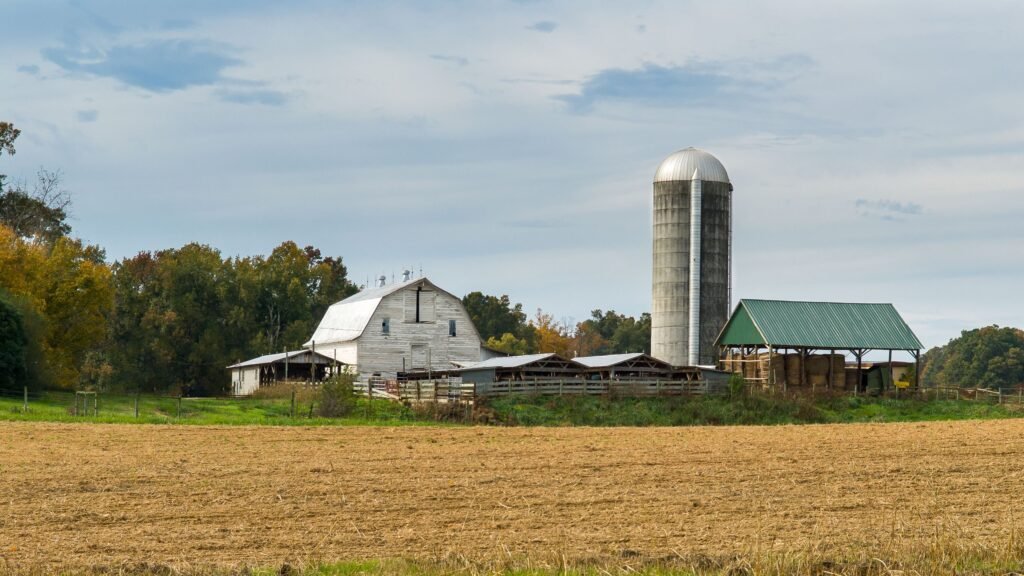 Rural property representative of Shelby County land around Columbiana AL